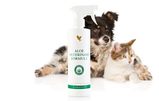 Aloe Veterinary Formula