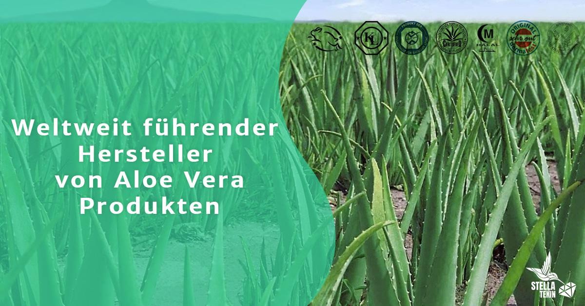 Forever Living: Kennen Sie Ihre Gesundheitsprodukte